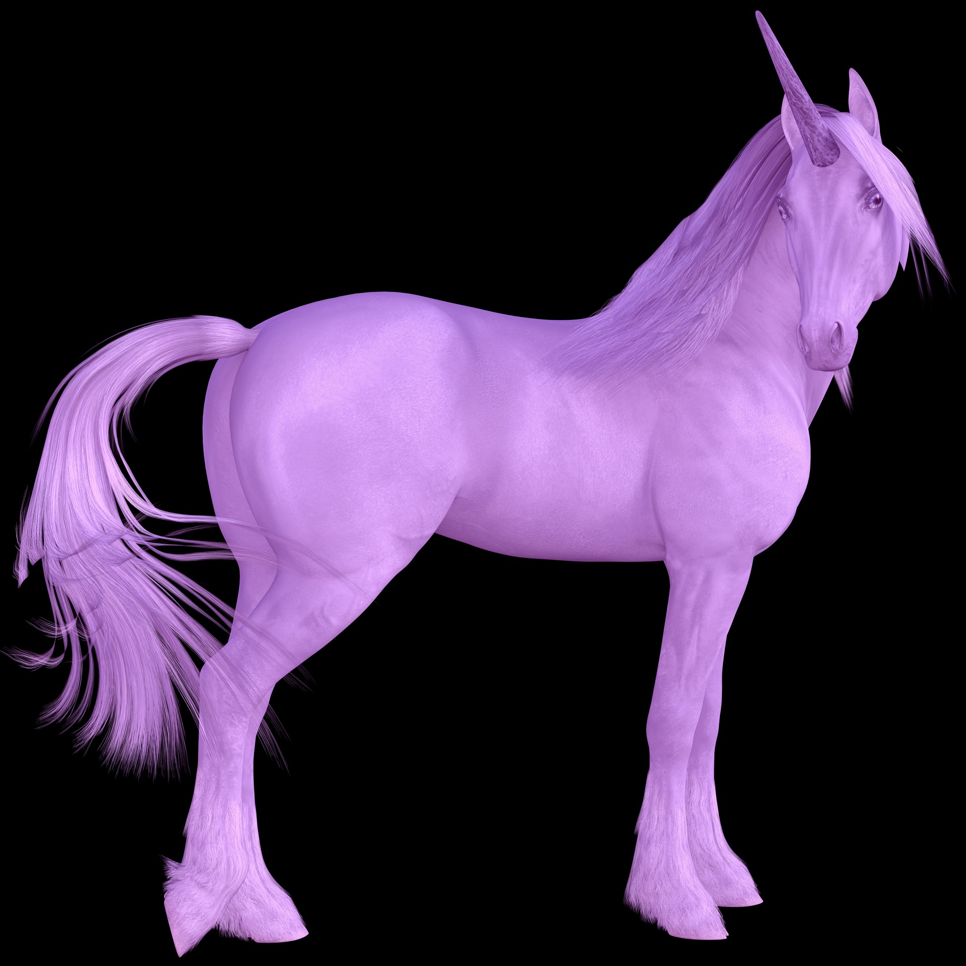 Purple Premium Unicorn